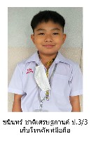 43177.jpg